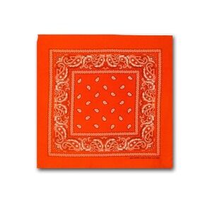 24 Bandanas 100% Cotton Paisley Print Head Wrap Scarf Wristband